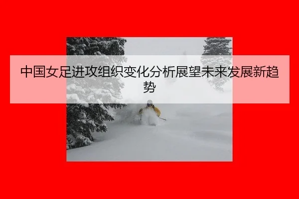 zhong-guo-nv-zu-jin-gong-zu-zhi-bian-hua-fen-xi-zhan-wang-wei-lai-fa-zhan-xin-qu-shi-2-417.jpg